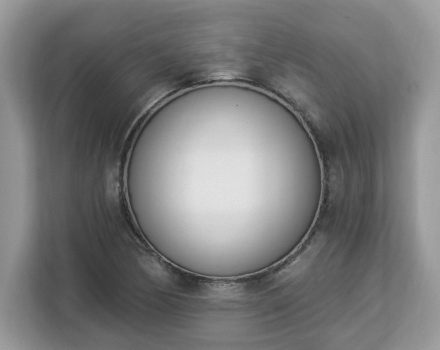 X0000112841170200908281546