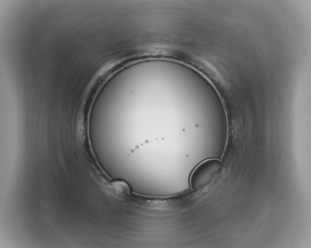 X0000112841172200908281546