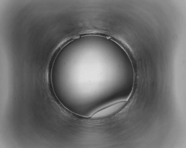 X0000112841173200908281546