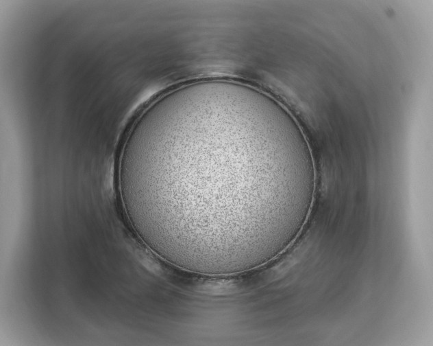 X0000112841174200908281546