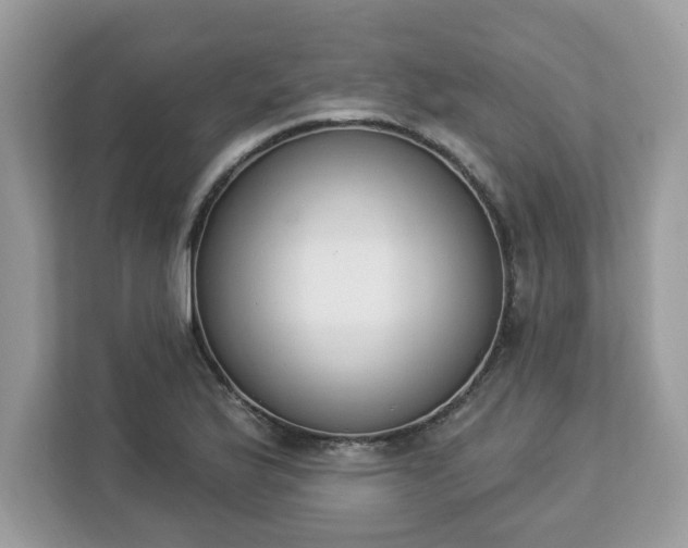 X0000112841175200908281546