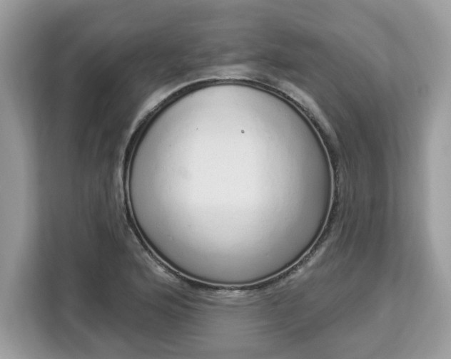 X0000112841176200908281546