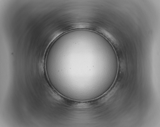 X0000112841178200908281546