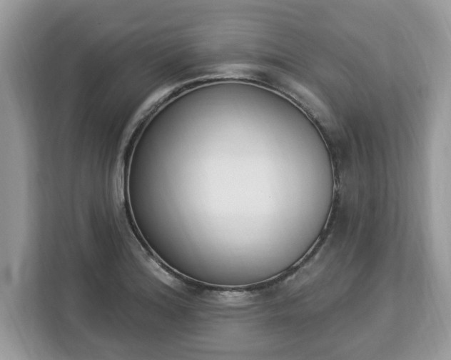 X0000112841180200908281546