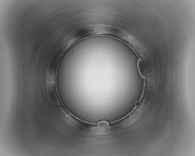 X0000112841185200908281545