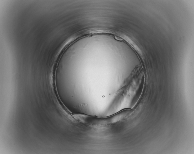 X0000112841189200908281545