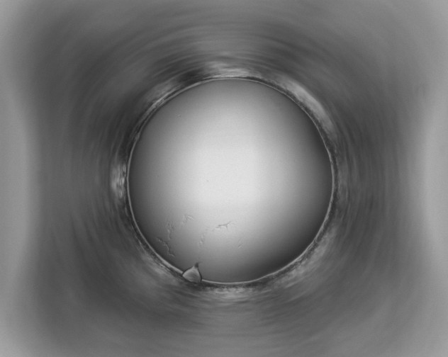 X0000112841193200908281545