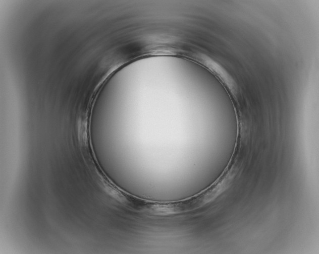 X0000112841194200908281545