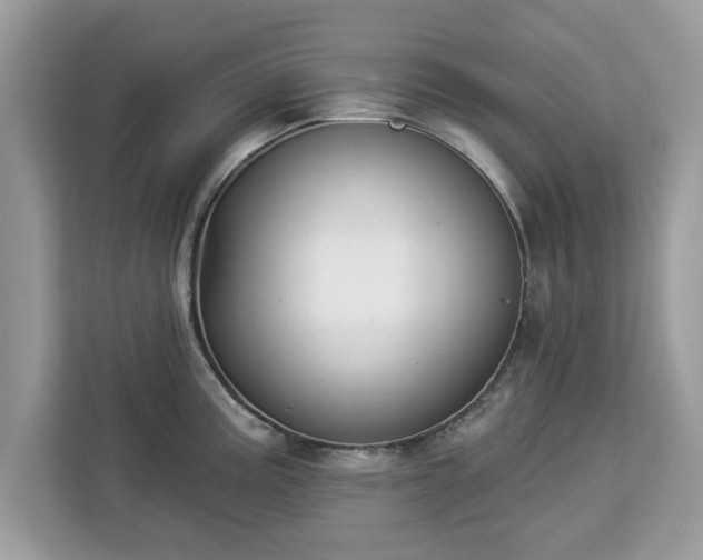 X0000112841195200908281545