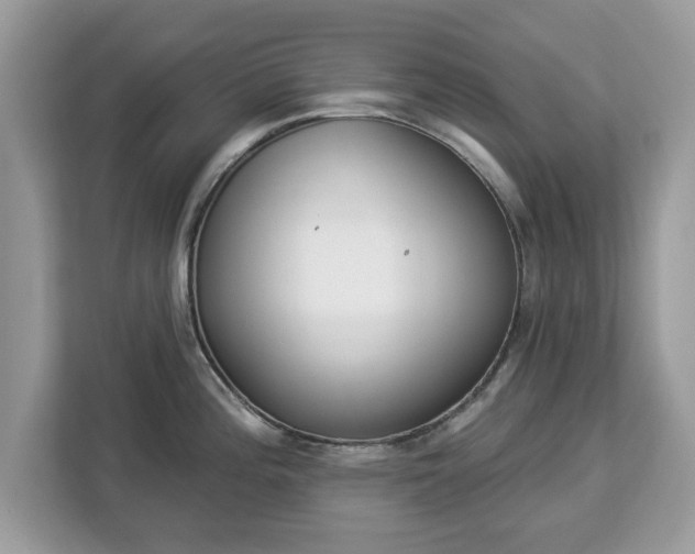 X0000112841196200908281545