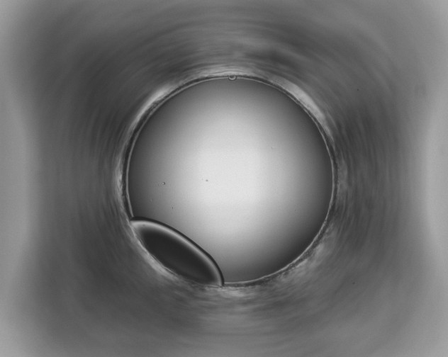 X0000112841197200908281545