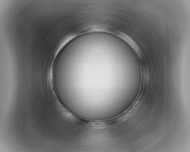 X0000112841198200908281545