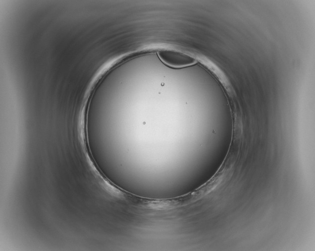 X0000112841199200908281545