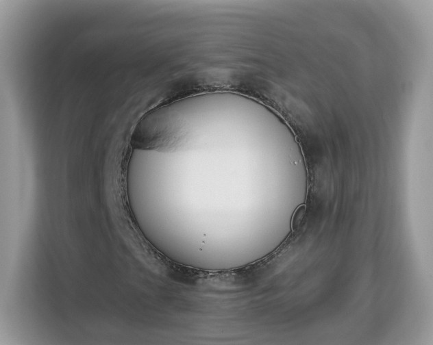 X0000112841201200908281545