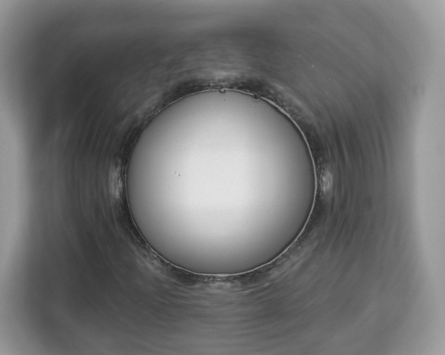 X0000112841204200908281545