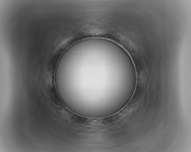 X0000112841205200908281545