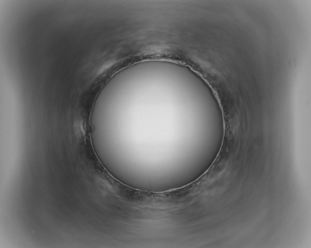 X0000112841206200908281545