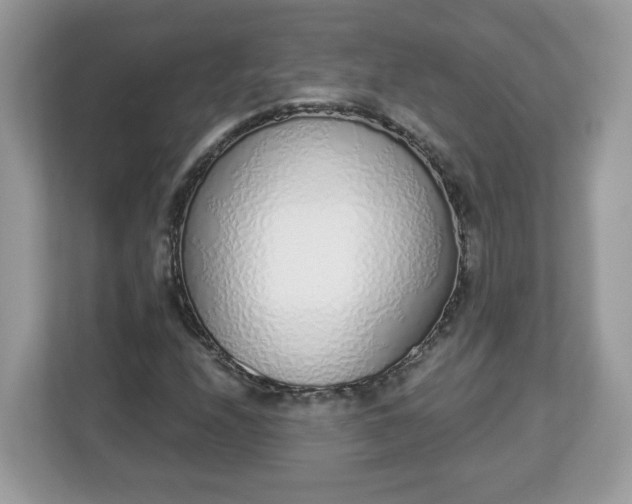 X0000112841208200908281545