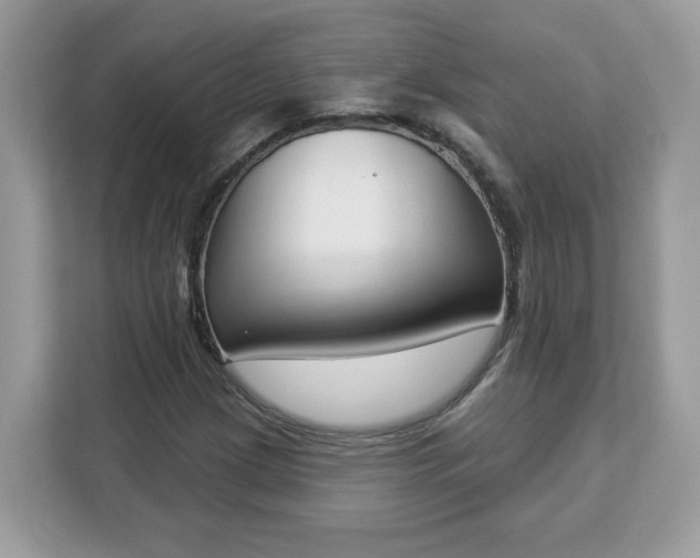 X0000112841209200908281545