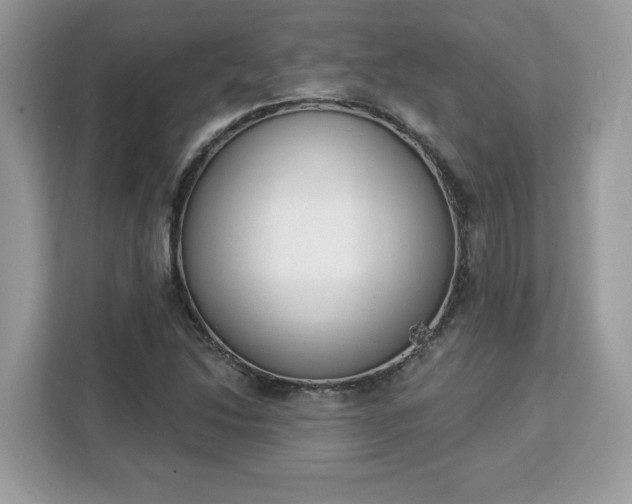 X0000112841214200908281545