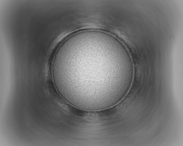 X0000112841215200908281545