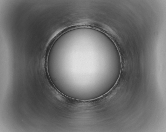 X0000112841216200908281545