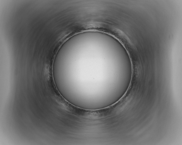 X0000112841217200908281545