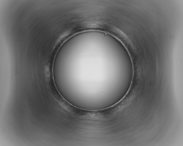 X0000112841218200908281545