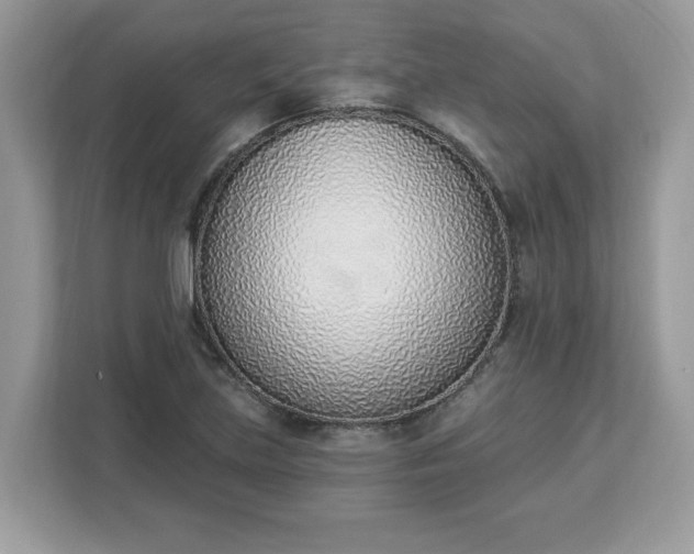 X0000112841219200908281545