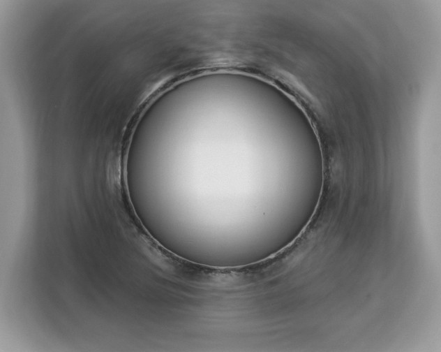 X0000112841220200908281545