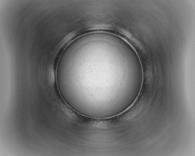 X0000112841221200908281545