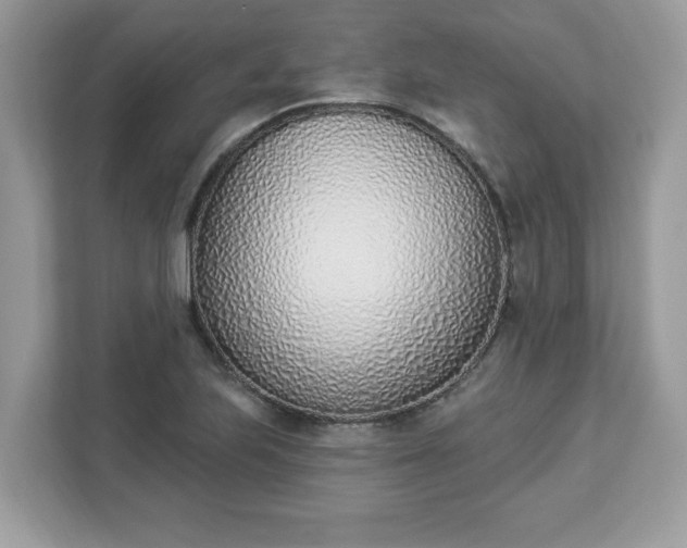 X0000112841223200908281545