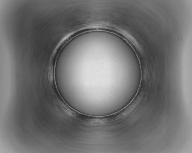 X0000112841224200908281545