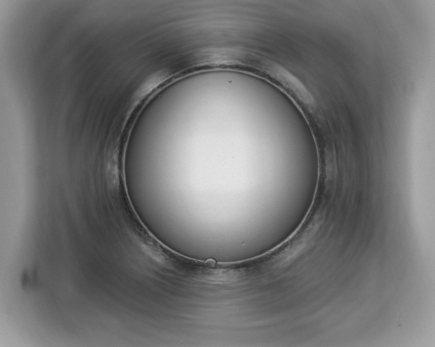 X0000112841226200908281545