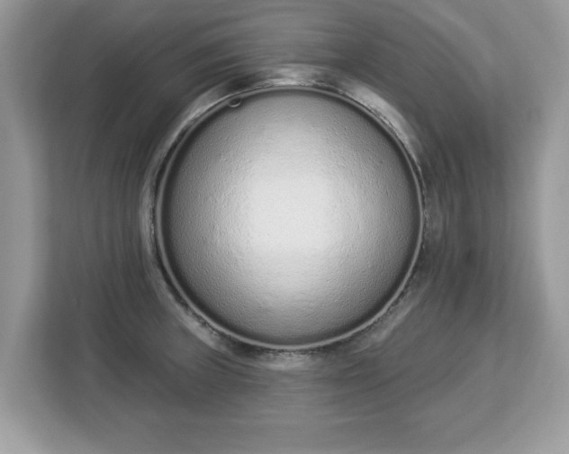 X0000112841235200908281545