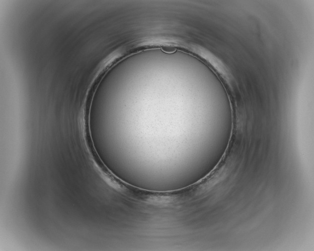 X0000112841237200908281545