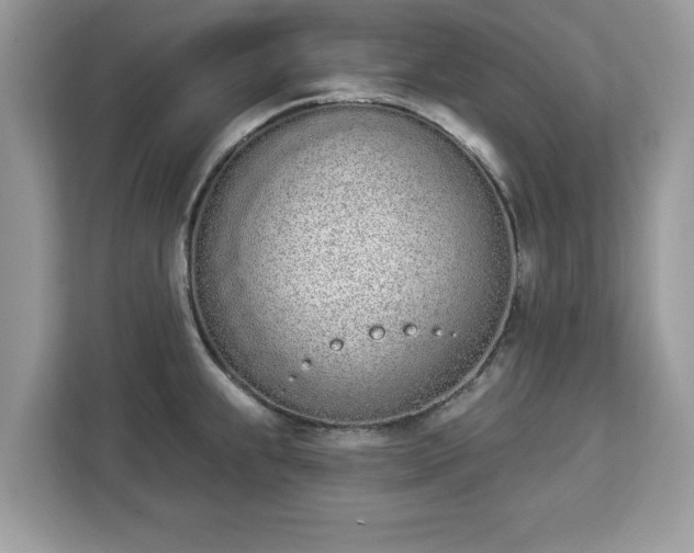 X0000112841239200908281545