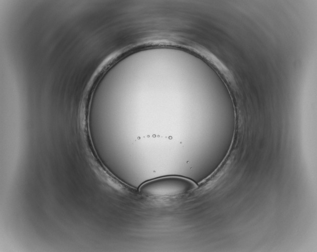 X0000112841240200908281545