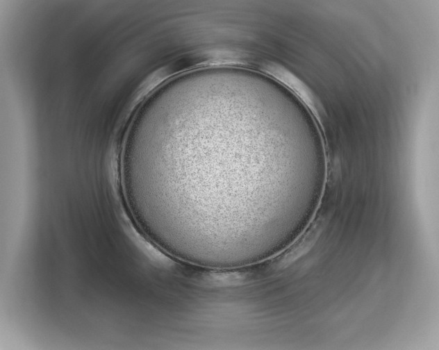 X0000112841243200908281545