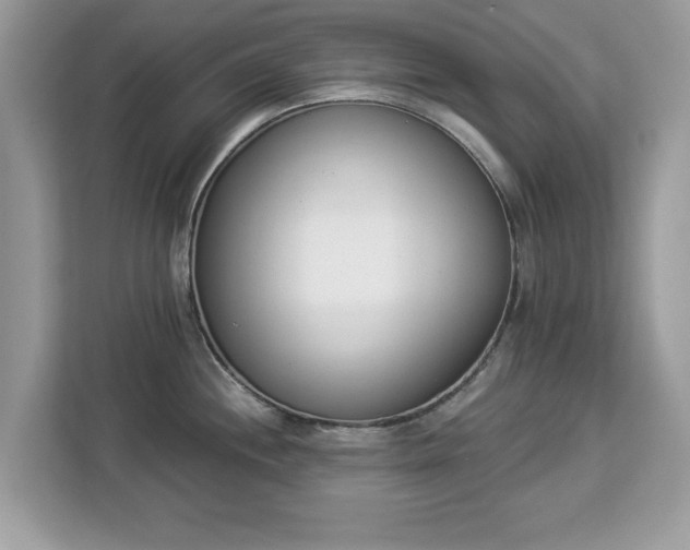 X0000112841244200908281545