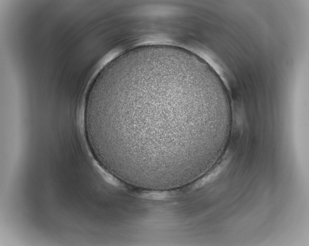 X0000112841245200908281545