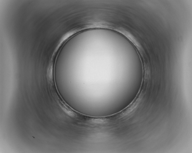 X0000112841246200908281545