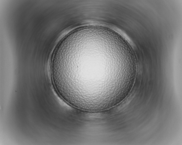 X0000112841247200908281545