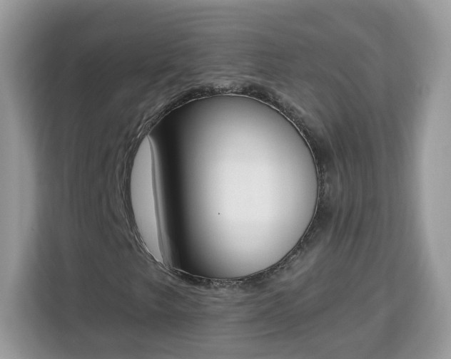 X0000112841249200908281545