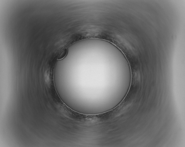 X0000112841250200908281545