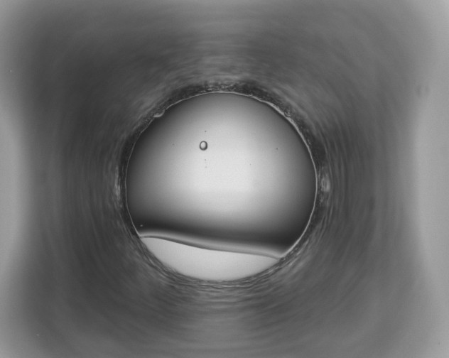 X0000112841252200908281545