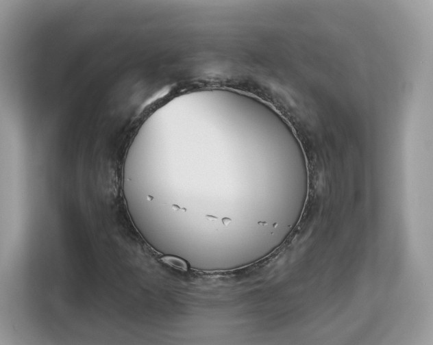 X0000112841253200908281545