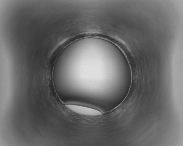 X0000112841255200908281545