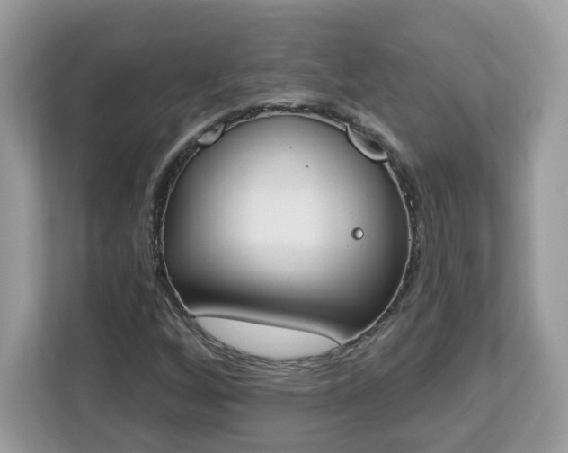 X0000112841256200908281545