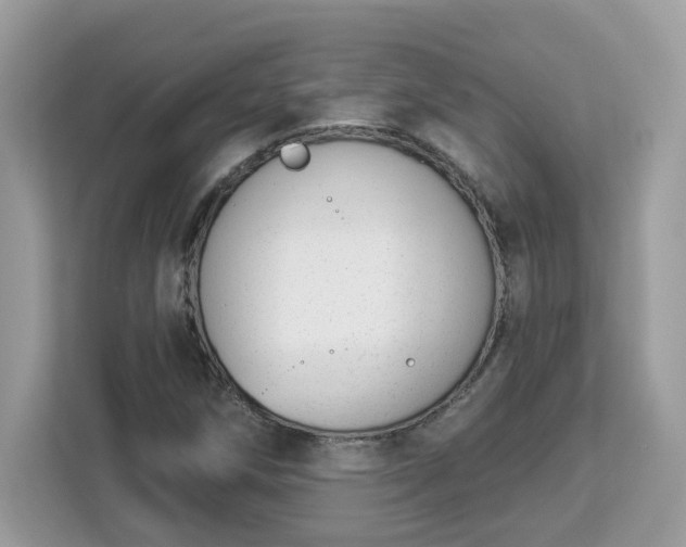 X0000112841258200908281544